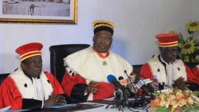 Conseil Constitutionnel